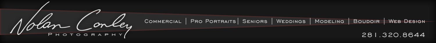 Professional Portraits | Realtor and Executive Head Shots | Houston TX